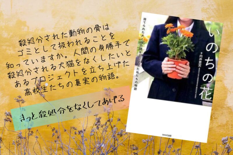 「いのちの花」表紙とPOP